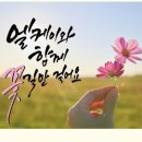 (강남)빛나는공인중개사사무소 이미지