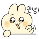 코지오스코 이미지
