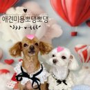 경기대로1010번길 이미지