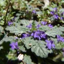 금창초등학교 이미지