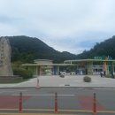알파냉열 이미지