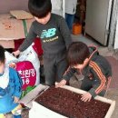 일꾼농장 이미지