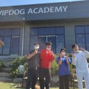 브이아이피독 이미지