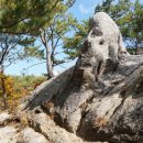 2024-주210 이미지