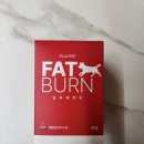 팻번 | (제품리뷰) 강아지 가수분해 연어 영양제 '팻번' 추천 후기