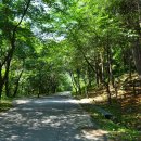 원주굽이길 15코스 백운산자연휴양림길 이미지