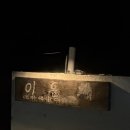 동백세탁 | 제주도 펜션 추천 동백꽃 피는 바다 앞 숙소 | 제주 서귀포 펜션 이음채 후기