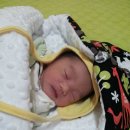 엄조산원 이미지