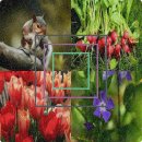 구월유치원 이미지