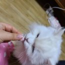 달이네수산 이미지