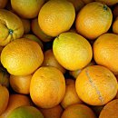 오창약국 이미지