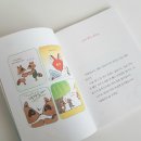 빨간여우 이미지