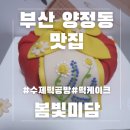 미담 | 부산 양정 떡케이크 맛집 상견례 케이크 추천 봄빛미담 포장후기