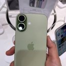 현대그린마트 | 아이폰17 세이지그린 구입기 케이스추천 케이스티파이 미피