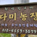 담농장 네이버블로그