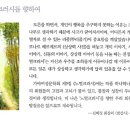 노멀크러시 이미지