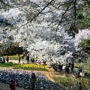 숲속쉼터 이미지