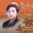 비바리 이미지
