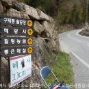 [하동] 구재봉(768ｍ),분지봉 산행후기(1)---2024년 3월 19일(화) 이미지