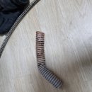 대명설비 | 미아동 원룸 하수구 막힘 설비 업체 해결 후기