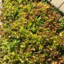 명성어린이집 이미지