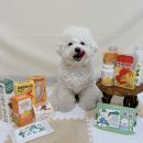 농업회사법인한라올레주식회사 | 프롬한라 서포터즈 루미의 강아지 유산균 추천, 펫미스트, 펫샴푸바, 반려견 간식