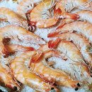 완도회집 이미지