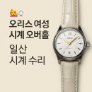 오리스정비 이미지