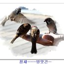 참새방앗간 이미지