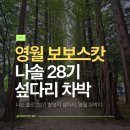 황토와 통나무 캠핑장 | 나는솔로 28기 촬영지, 영월 차박지 보보스캇 캠핑장