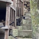 청일가든 이미지