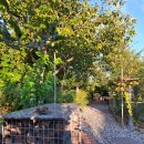 게스트하우스 노랑벽 이미지