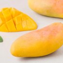 초록망고 | 망고에서 꽃향기가 마하차녹 망고 &amp; 파인애플 스틱 내돈내산 솔직후기