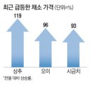 밥상119