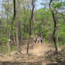 밤나무길 이미지