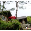 화천흑염소농장 이미지