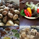 이즈바 펜션 이미지