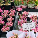 다송농장 이미지