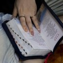 산하이불 이미지