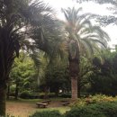 동문수산시장 이미지