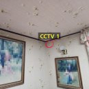 서귀동-35 이미지