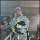 농장축산직거래 이미지