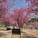 제2 지혜농장 이미지