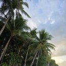 파라다이스통상 | 보라카이 자유여행 9일차 : 난쟁이 니모 가이드, 프라이빗 호핑투어, 패러세일링, 메사 재방문, 씨푸드...