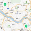 골든햄스터분양탬펫 - 고양시 덕양구 꽃마을로 4 | 골든햄스터분양탬펫
