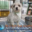 화랑로5 이미지