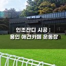 터프파파 네이버블로그