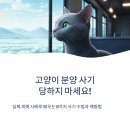 성일동물병원 | 고양이 분양처 숨은 사기 유형 주의