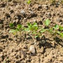 온요양병원 이미지