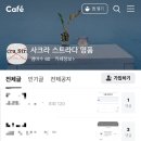 사크라스트라다 명품몰 폐쇄조치